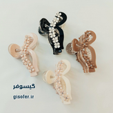 کلیپس مو پاپیونی مجلسی-232