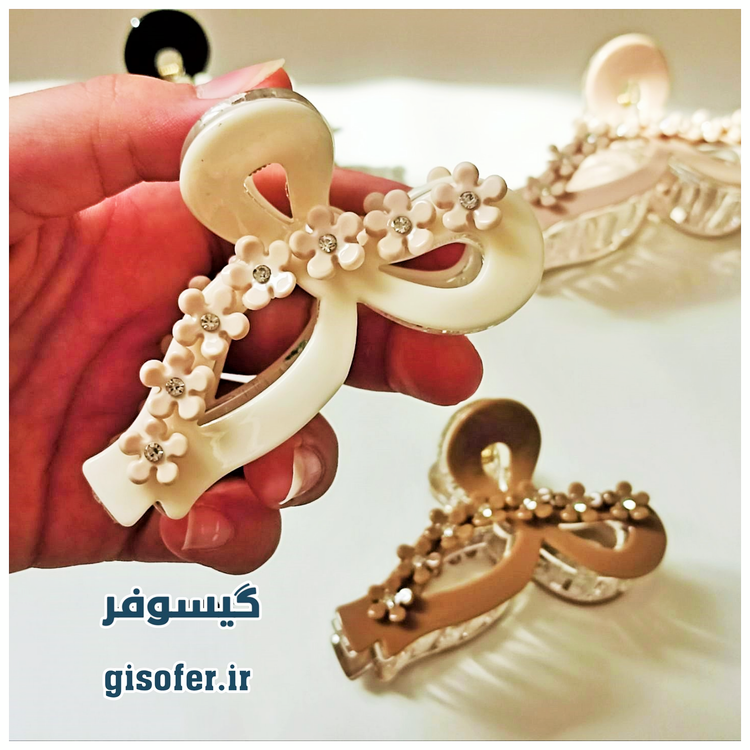 کلیپس مو پاپیونی مجلسی-232