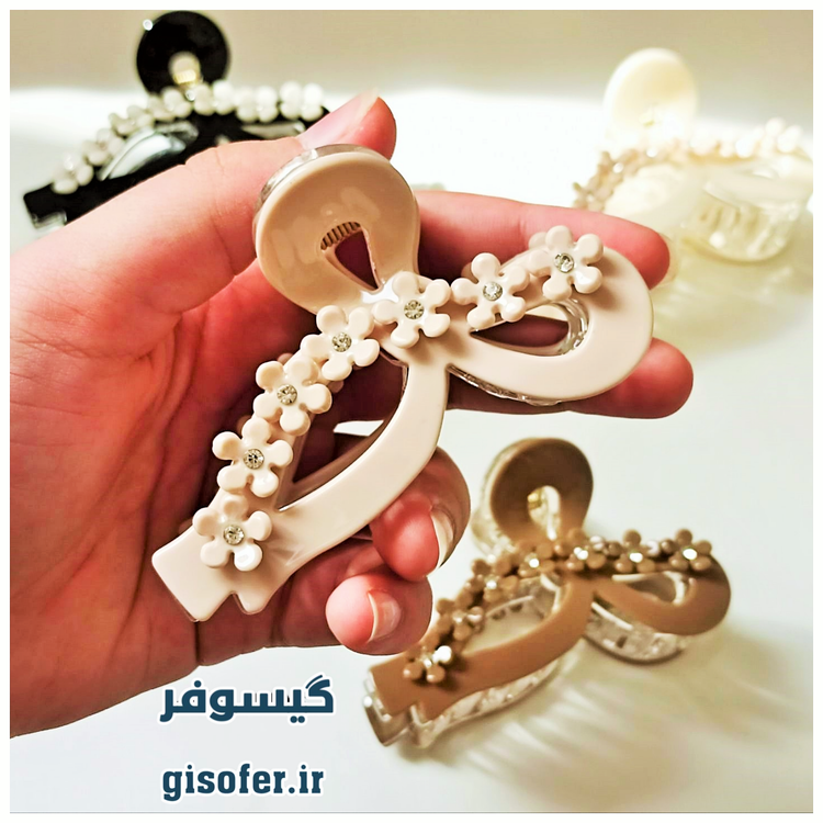 کلیپس مو پاپیونی مجلسی-232